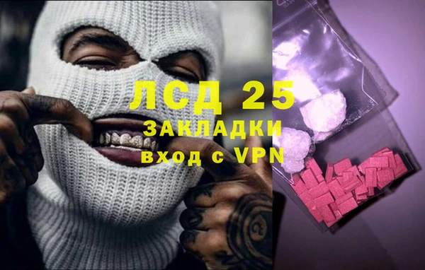 гашик Алексеевка