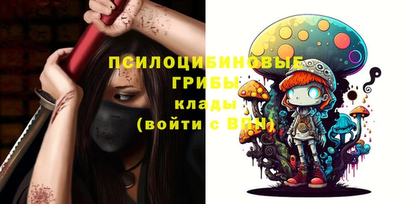 спайс Алексин