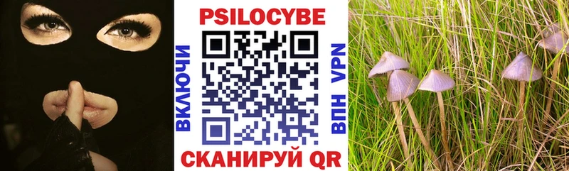 закладка  Апрелевка  Псилоцибиновые грибы Cubensis 